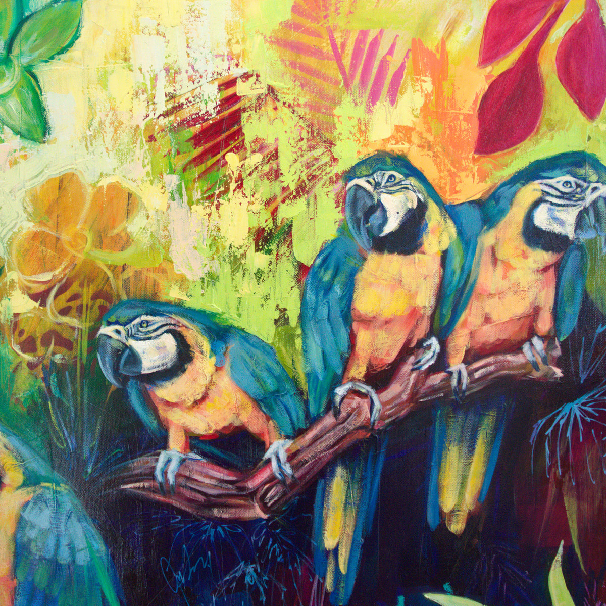 Whispers of the Tropics by Carma Visions, close-up of the macaws