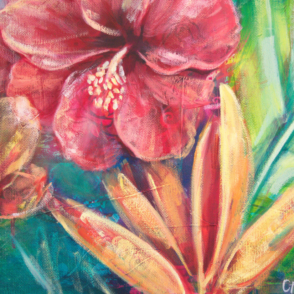 Son of a Sailor by Carma Visions, close-up of hibiscus and heliconia