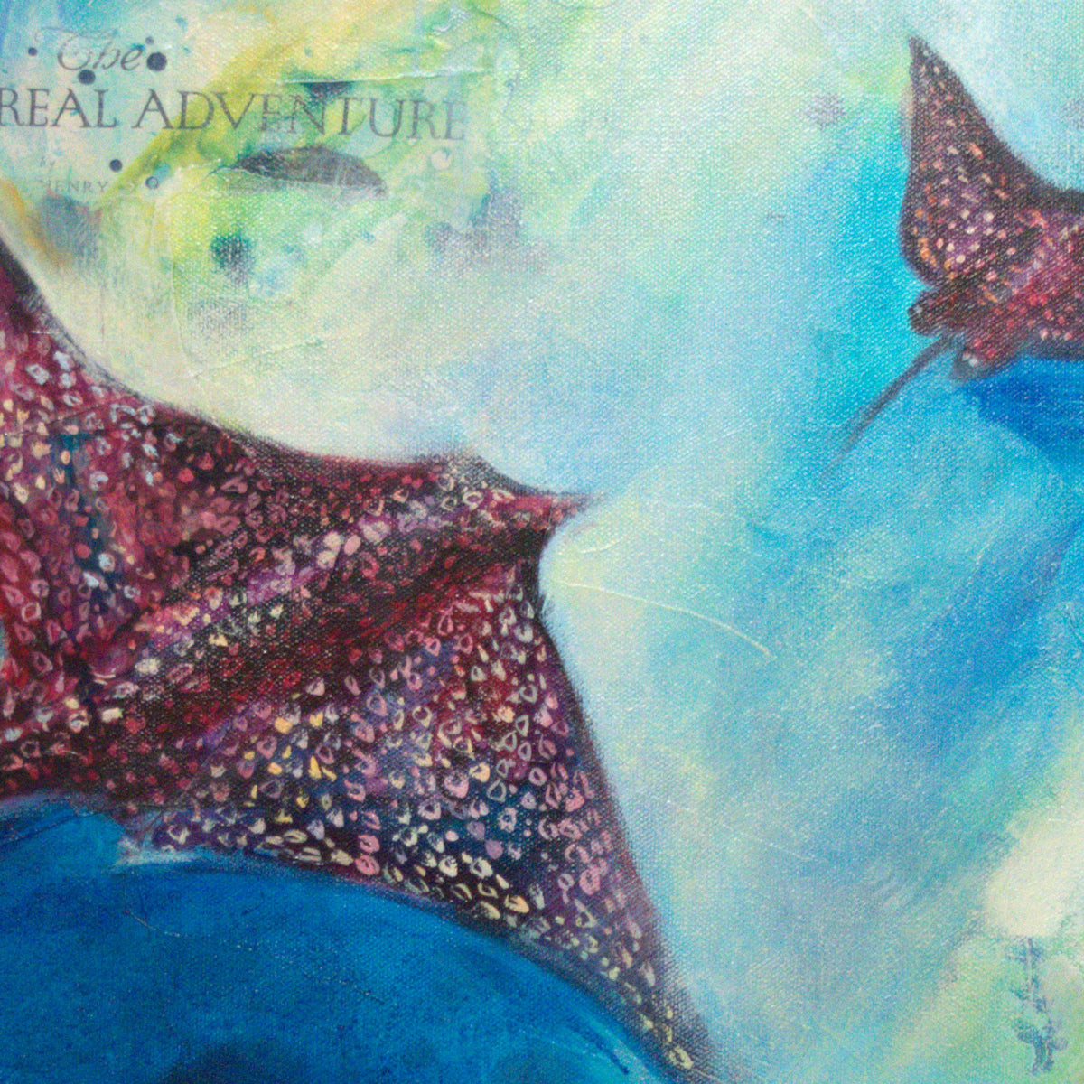 Dance of the Deep by Carma Visions, close-up of the spotted eagle rays