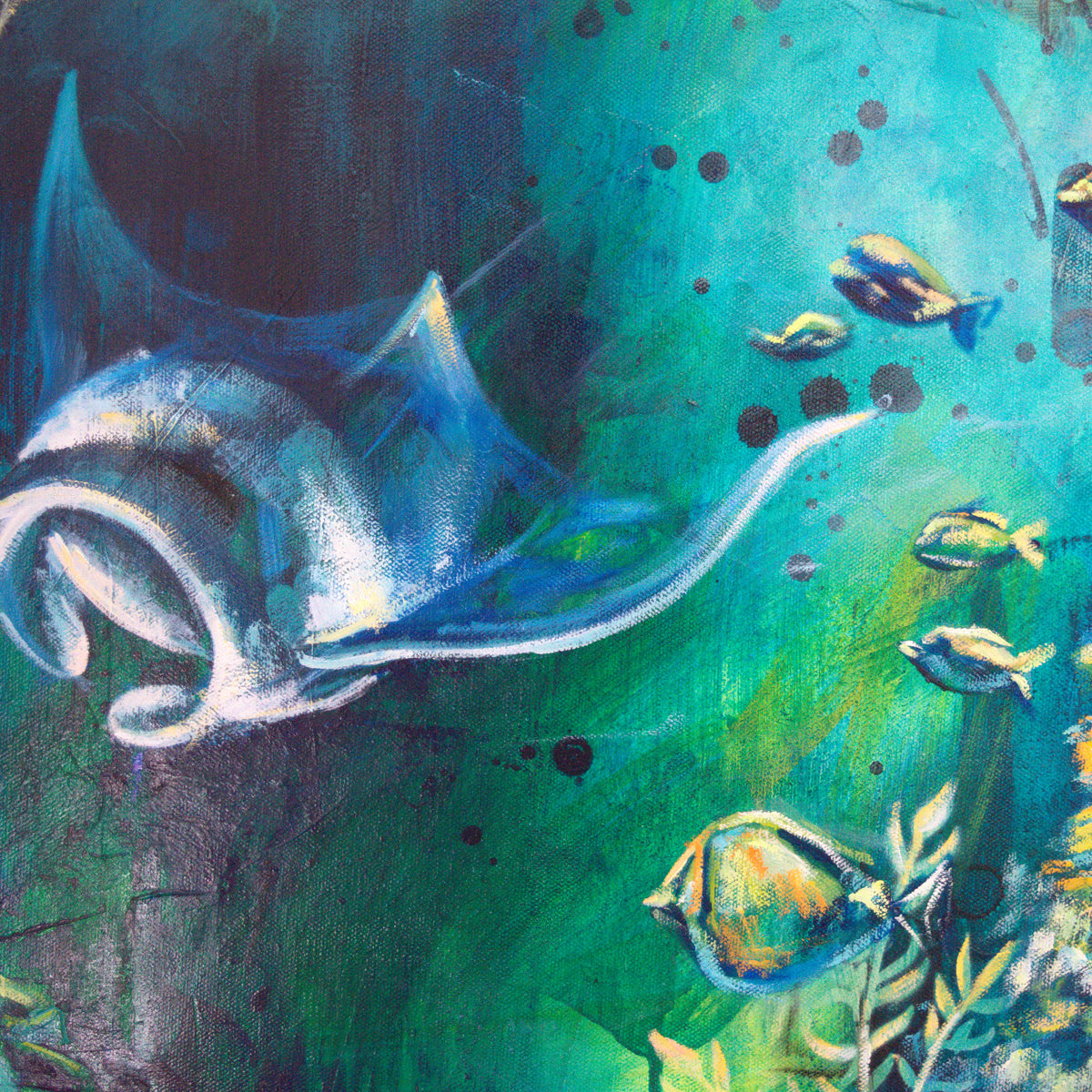 Journey Beneath by Carma Visions, close-up of the manta rays