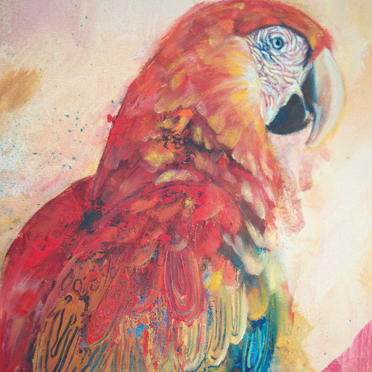 Red Bank Rising by Carma Visions, close-up of the scarlet macaw