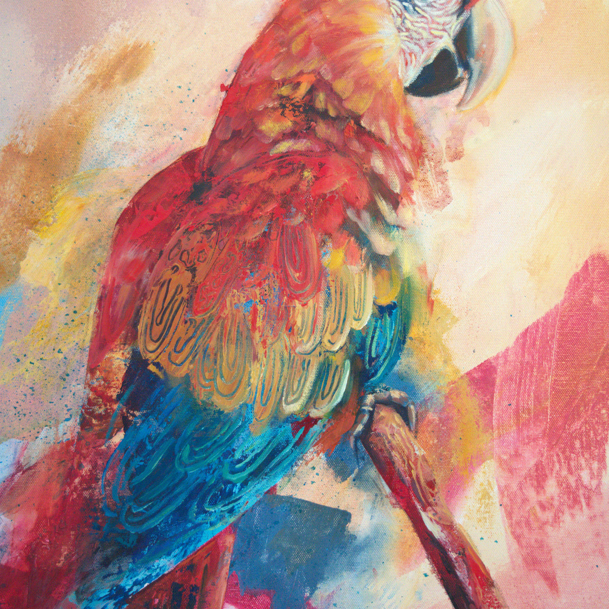 Red Bank Rising by Carma Visions, close-up of the macaw's wing